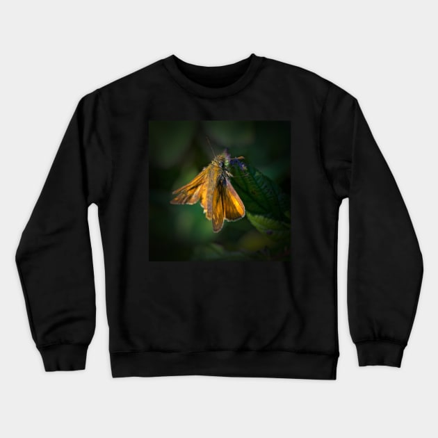 INTO THE DAPPLED LIGHT Crewneck Sweatshirt by dumbodancer